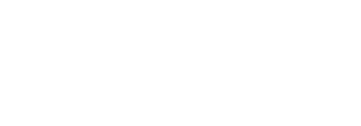 The Guardian Logo